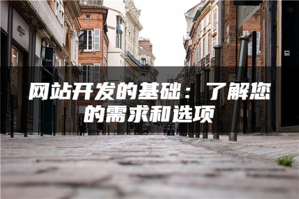 網(wǎng)站開(kāi)發(fā)的基礎(chǔ)：了解您的需求和選項(xiàng)