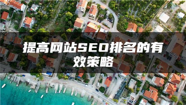 提高網(wǎng)站SEO排名的有效策略